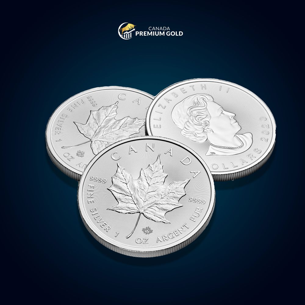 Silver Coins: Collectibles and Investments All in One