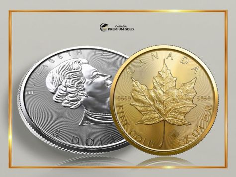 Navigating the Golden Path A Comprehensive Guide to Safely Investing in Gold and Silver with Silver Gold Bull